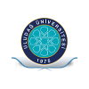 Uludağ University 2023 güncel departman mülakat süreçleri, maaşları ve yorumları